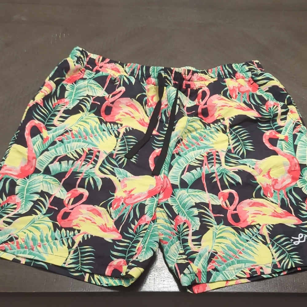 LRG Vibrant Flamingo and Palm Swim Trunks
